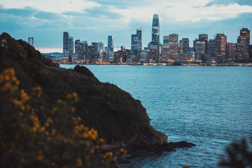 Top 7 Local Startups Flourishing in SF Bay Area